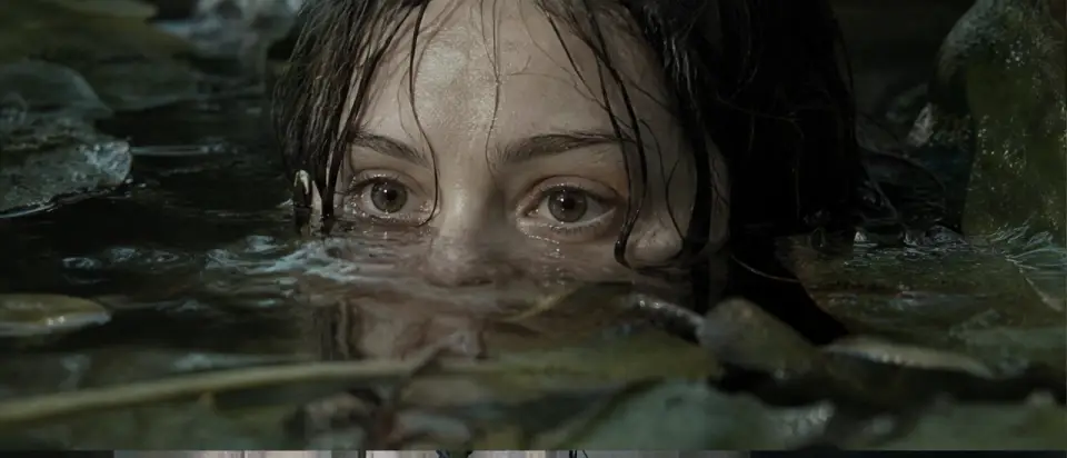 Lily House — still 2